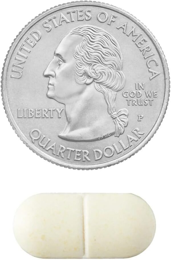 Triple Strength Glucosamine Chondroitin - Image 5