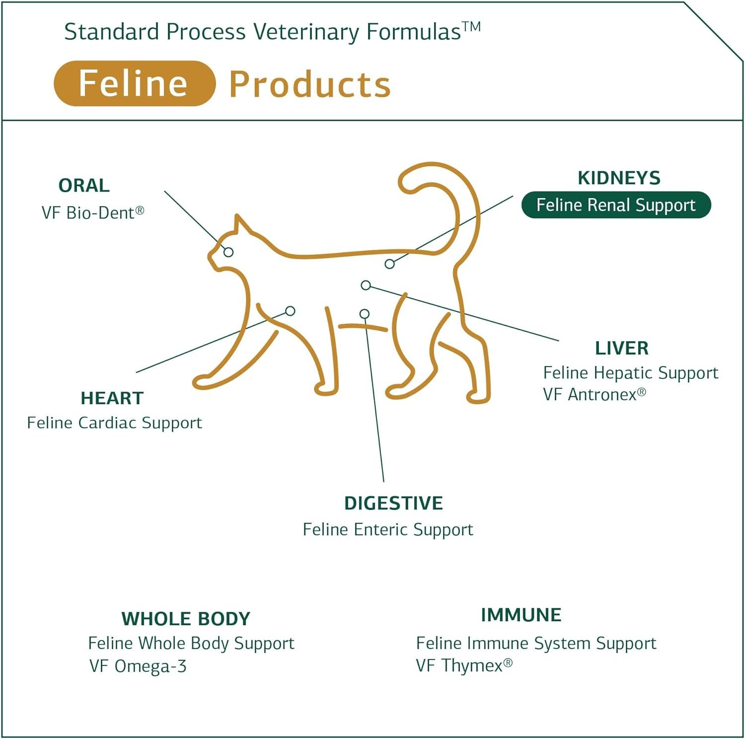 Standard Process Feline Renal Support - - Image 5