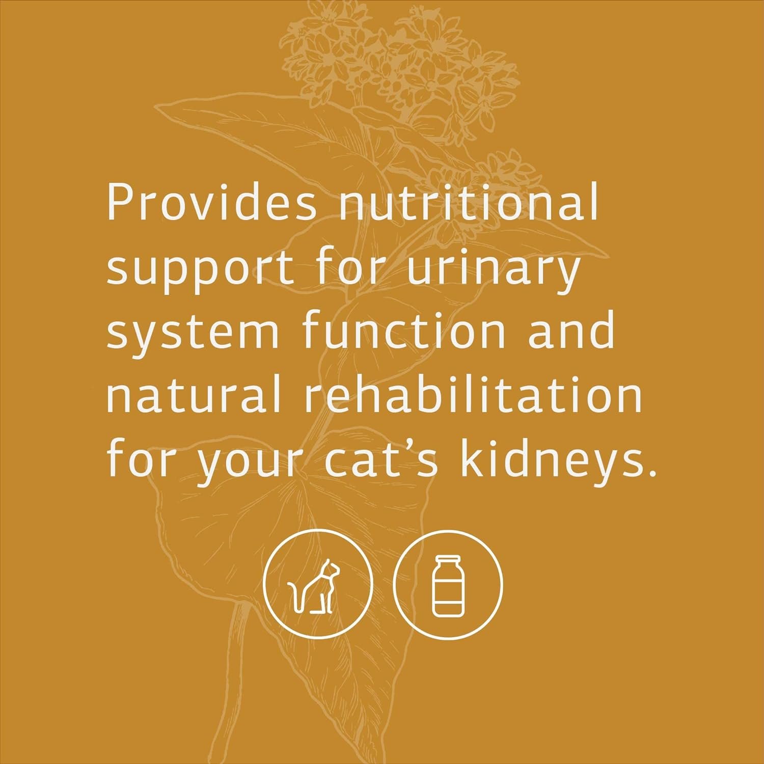 Standard Process Feline Renal Support - - Image 3