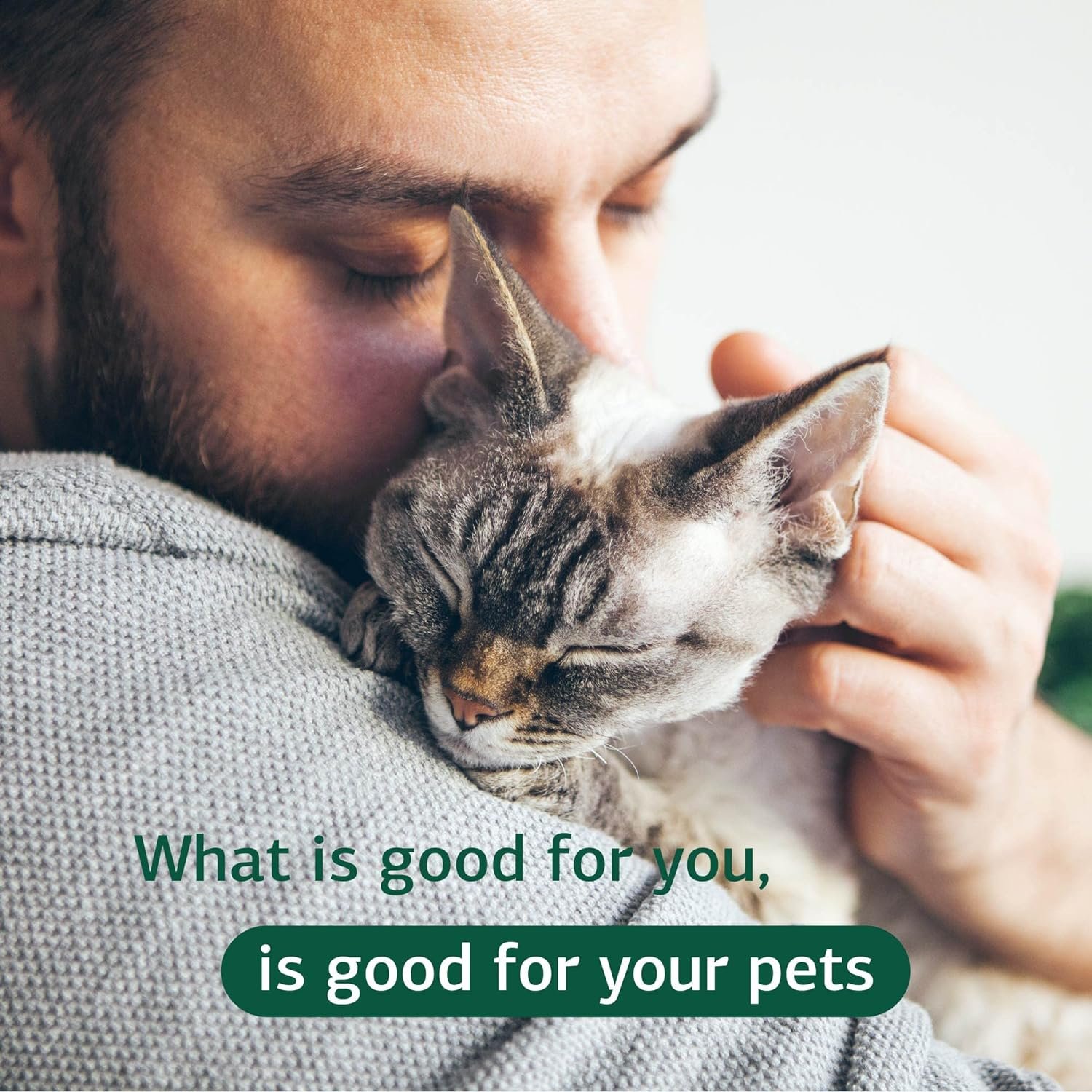 Standard Process Feline Renal Support - - Image 6